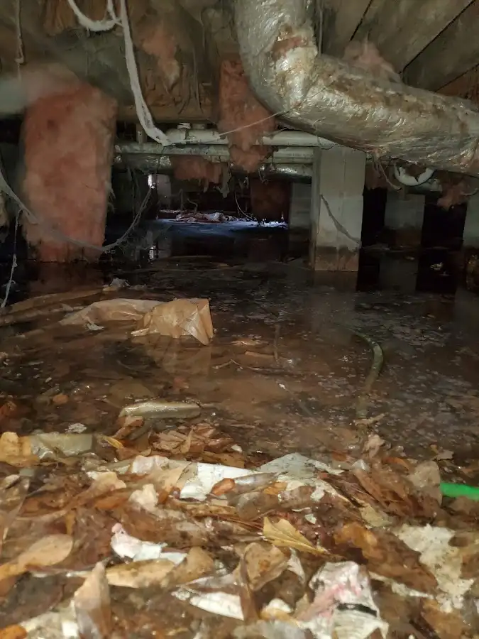 Crawl space flood assessment for Leak Detection & Repair in Huntington Beach